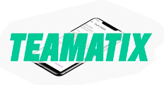 Система управления <br />
отелем Teamatix